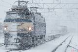 「新潟の大雪、貨物列車にも影響 日本海側ルートで運休発生 物流にも影響か」の画像1