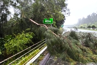 東名・新東名・中央道「同時通行止め」の可能性も 台風6号「不要不急の移動は避けて」NEXCOが呼びかけ 影響はこれから広範囲に