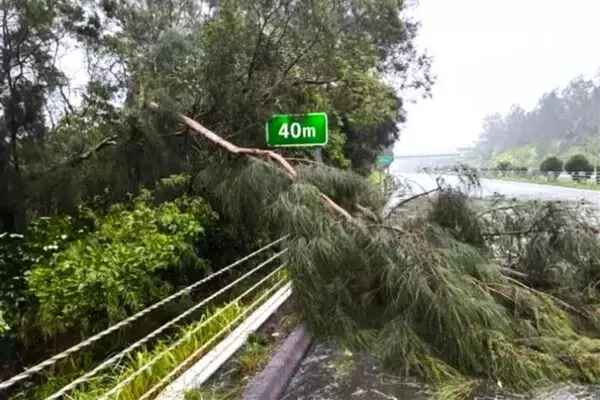 東名・新東名・中央道「同時通行止め」の可能性も 台風6号「不要不急の移動は避けて」NEXCOが呼びかけ 影響はこれから広範囲に