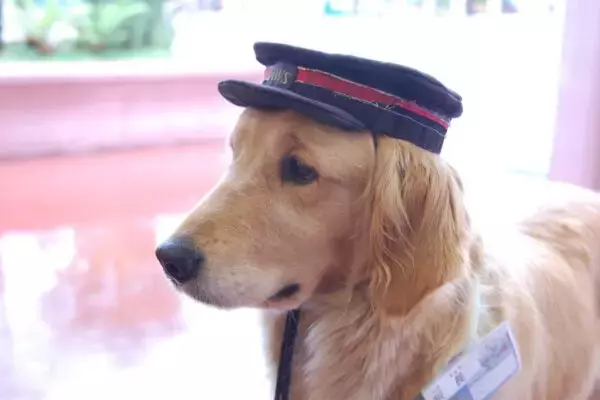 「新幹線を「2席取り」してペットを乗せるのは“ルール違反”と言われました 何が悪いんですか?」の画像