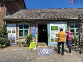 「えっ、まだあったの!?」日本も熱狂 “ミステリーサークル”最新ルポ、UFOじゃない“真相”がスゴい！