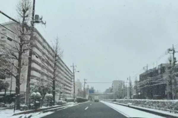 大雪の東京で「ノーマルタイヤ車」どれくらい走ってた？ 駐車場で406台抜き打ちチェック！ “夏タイヤ率高め”の車種の傾向とは？
