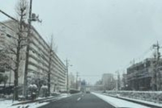 大雪の東京で「ノーマルタイヤ車」どれくらい走ってた？ 駐車場で406台抜き打ちチェック！ “夏タイヤ率高め”の車種の傾向とは？