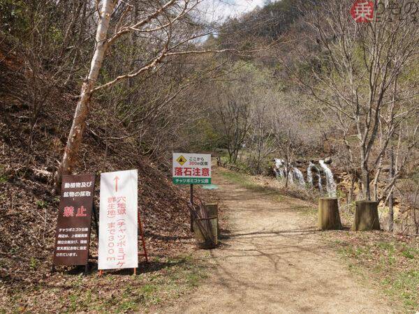 関東最奥部の「廃駅」その更に奥の鉱山跡が「世界でも類を見ない」場所だった！ 観光路線の“本当のルーツ”