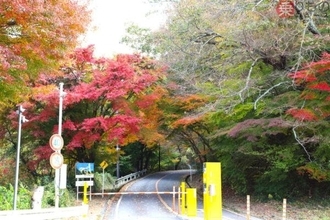 鉄道2社の激闘から「絶景の道」が誕生!? 廃線跡も一部転用「近鉄の有料道路」を走ってみた