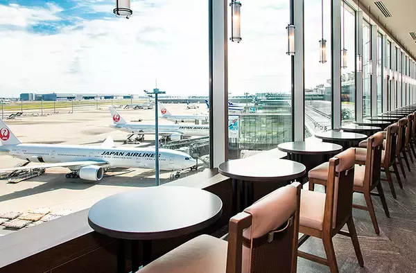 羽田国際線「JALサクララウンジ」、大拡張し今春刷新オープンへ！ どれだけ変わるのか