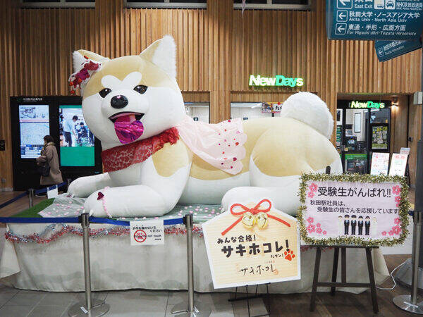 やけに「“A席”から予約が埋まる特急」に乗った 3時間40分の“大運転”いまや2往復に