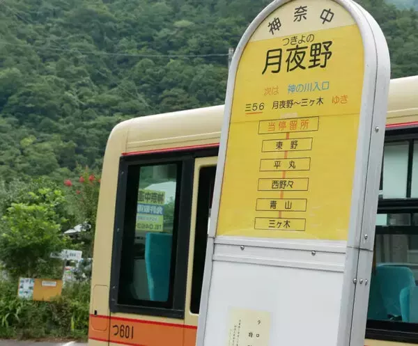 「山梨へ行く神奈中」消滅へ 路線バス乗り継ぎの旅は困難に？ “代替”の交通手段も
