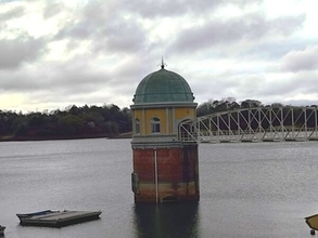 都内を貫く「20km直線道路」の”その先”まで行ってみた 半分は幹線道路 もう半分は”延々続く花見スポット!?” 全く異なる2つの顔