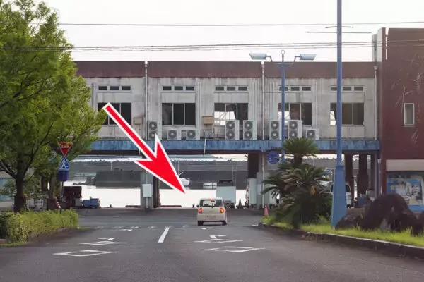 これが国道!?「わずか0.1kmで“海にドボン”するんだが…」 ナゾすぎる道路の“続き”とは？