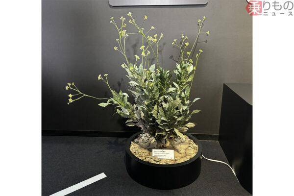「タイヤは黒いゴム」ではない――ブリヂストンが描く“タイヤからタイヤへ”の未来　モータースポーツは「走る実験室」だった