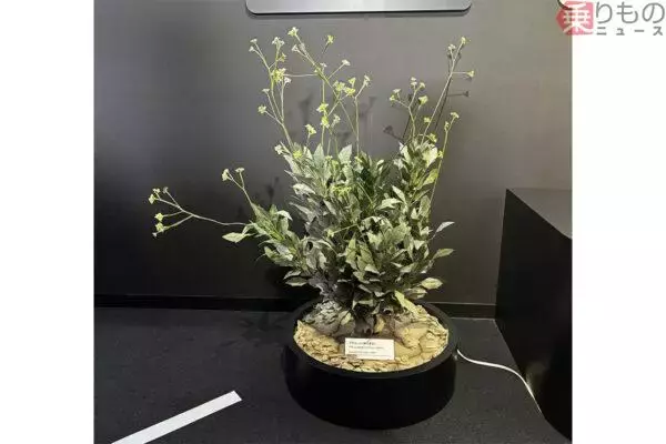 「「タイヤは黒いゴム」ではない――ブリヂストンが描く“タイヤからタイヤへ”の未来　モータースポーツは「走る実験室」だった」の画像