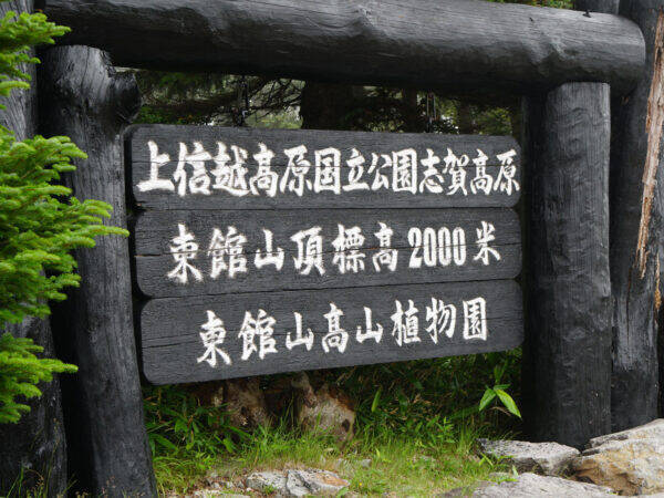 真夏でも寒い！「日本一高い国道」の先にある“鉄道”に乗ってきた！ 標高2000m“エモいゴンドラ”3種乗り継ぎルートとは