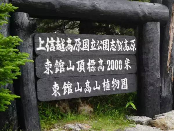 「真夏でも寒い！「日本一高い国道」の先にある“鉄道”に乗ってきた！ 標高2000m“エモいゴンドラ”3種乗り継ぎルートとは」の画像