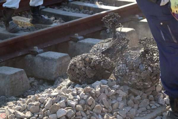 爪を高速振動 進めマルチプルタイタンパ 守れ東海道新幹線の要注意点「線路の石」