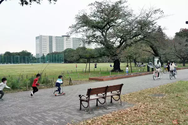 「零戦エンジンとスワローズファンを運んだ引込線 壮絶な過去と廃線のワケ」の画像