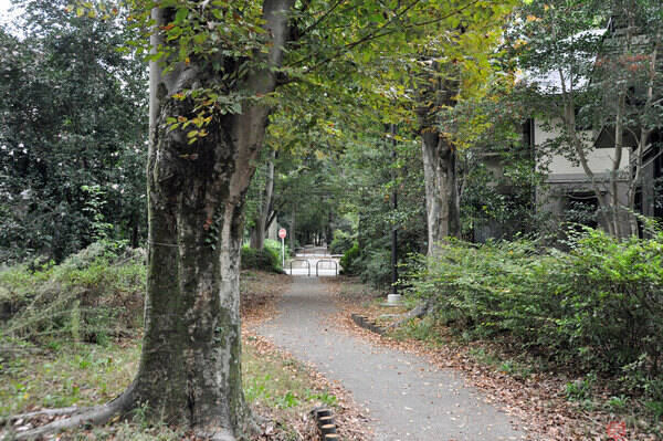 零戦エンジンとスワローズファンを運んだ引込線 壮絶な過去と廃線のワケ