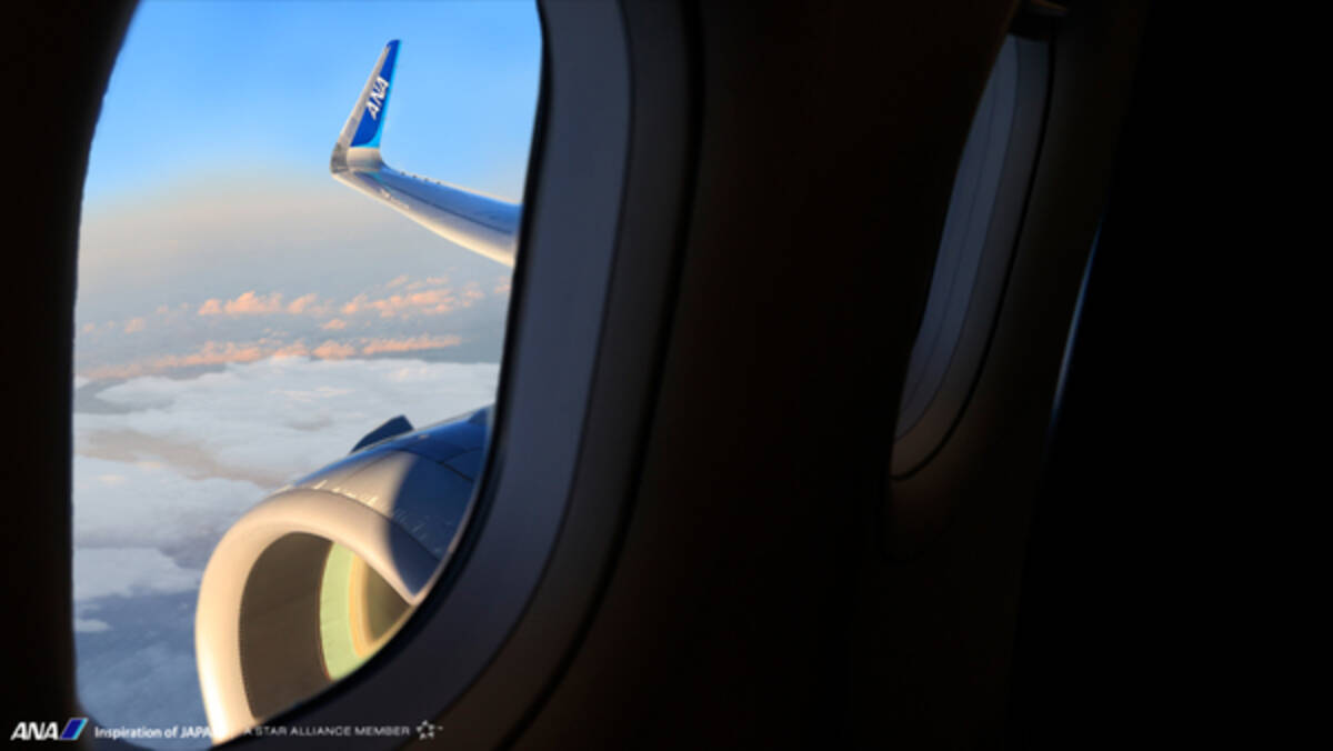 会議しながら飛行機にエア搭乗できます Ana バーチャル背景 配信スタート 動画もアリ 21年1月19日 エキサイトニュース