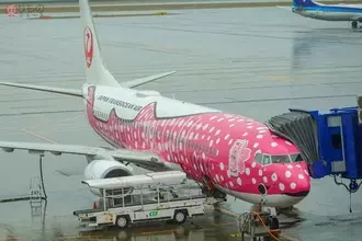 中部国際空港のニュース 社会 78件 エキサイトニュース