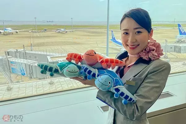 ANA A380「ウミガメのぬいぐるみ」 国内線やラウンジで買えるように 3号機も初披露