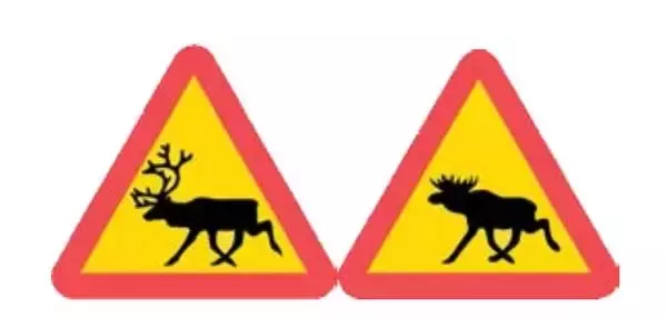 「世界のビックリ交通標識5選 枠を突き破る子供 謎の動物 「いいね」禁止？」の画像