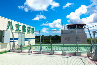 なぜ？着陸の難所「八丈島空港」の様子とは 広がる絶景 乗り心地もひと味違う！