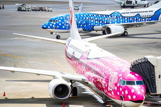 JTA機、本州各地に限定出現！ 定期便未就航地へチャーター便続々 来年3月まで47便