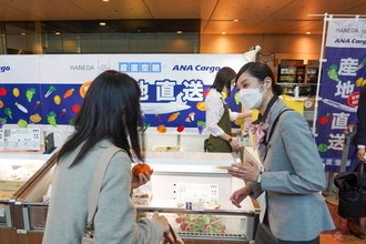 羽田空港が「全国イチ新鮮な青果店」になるかも？ ANAと空ビル「産直空輸」実証