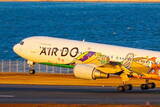 「さらばクマさん！ 「ゆるかわ尾翼」の767 AIRDO特別機が運航終了 「ポケモン」機と入れ替え」の画像1