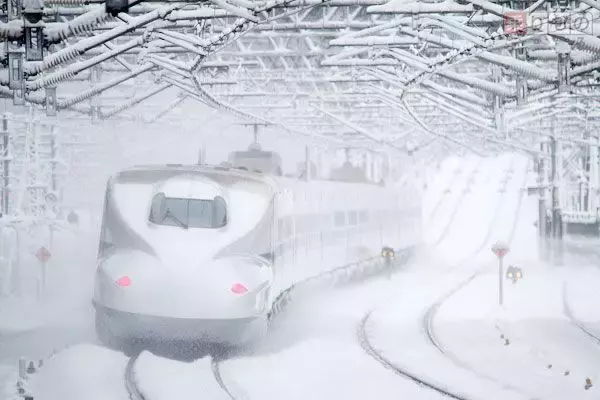 「のぞみ」来年も「お子さま連れ専用車両」設定 約2か月で100本 JR東海道新幹線