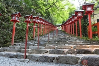 京都は新緑も良い　貴船、瑠璃光院、叡山ケーブル…青もみじに映える古都をめぐる