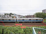 「都県境越え、実に11回！　小田急小田原線と蛇行する境の謎」の画像9