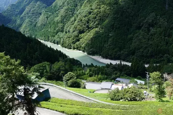 「飯田線の「秘境駅」を訪ねて　「不安」と「拍子抜け」の狭間を旅する」の画像