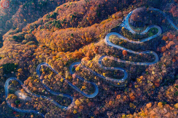 いろは坂 毎日走る日光の路線バス その運転技術とは 紅葉期の大渋滞どう対応 18年11月23日 エキサイトニュース