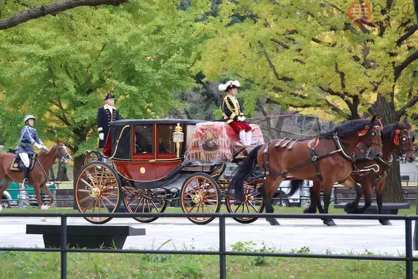 フラッシュ厳禁、「儀装馬車列」とは　オフィス街に響く馬蹄、漆塗り馬車は100年モノ