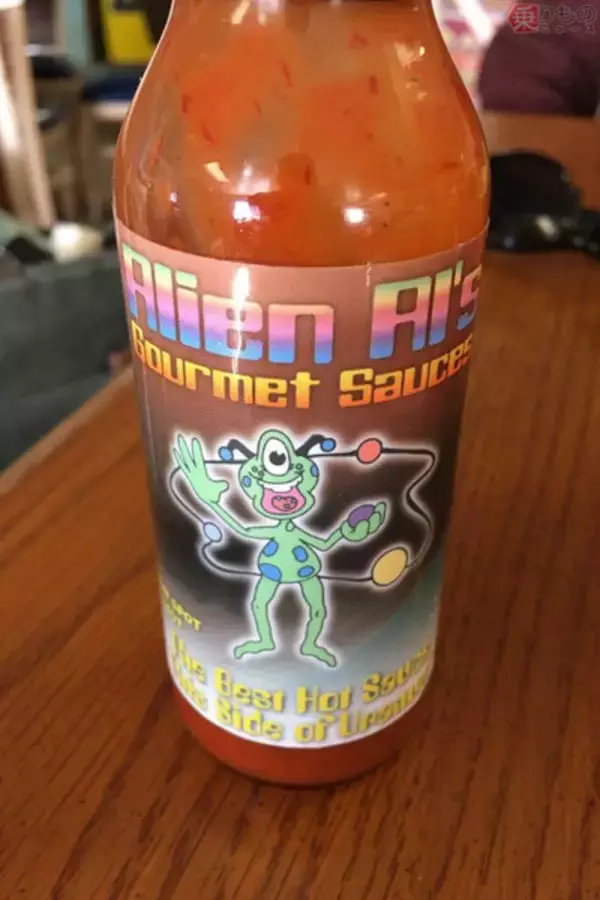 「これも地産地消か エリア51ほど近く、世界中のUFOファン集う「エイリアンのお宿」とは」の画像