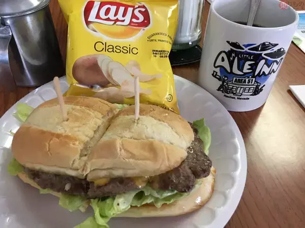 「これも地産地消か エリア51ほど近く、世界中のUFOファン集う「エイリアンのお宿」とは」の画像