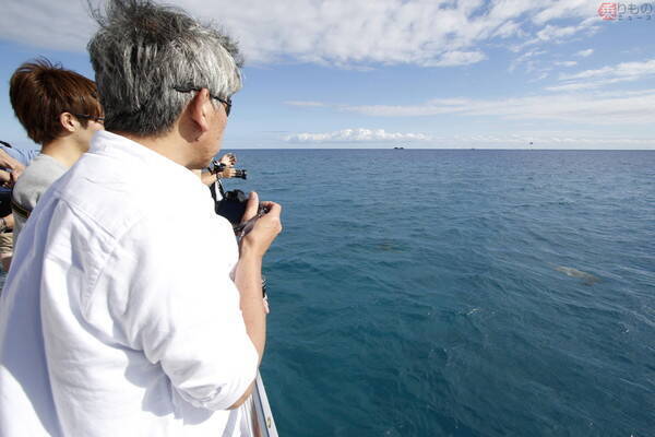 ANA「フライングホヌ」就航に合わせ、船「セイリングホヌ」登場 ハワイで乗ってみた