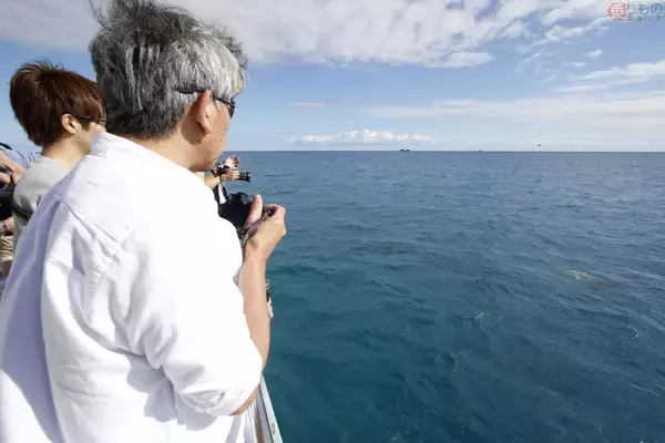 「ANA「フライングホヌ」就航に合わせ、船「セイリングホヌ」登場 ハワイで乗ってみた」の画像