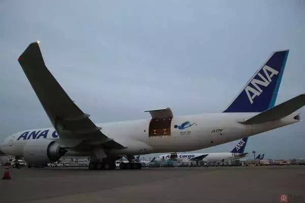 「日本初導入 大容量＆長距離飛行OKなANA貨物機「ボーイング777F」テイクオフ！」の画像