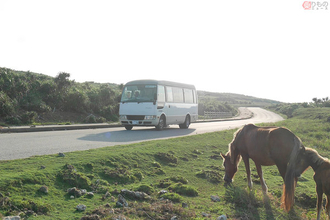 日本最西端の路線バス、馬にはばまれるスローな運行 最西端のバス停は「らしくない」？