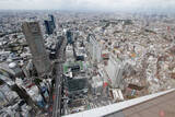 「地上230m屋上屋根なし「渋谷スクランブルスクエア」展望台へ行く 充実トレインビュー」の画像8
