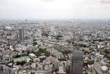 「地上230m屋上屋根なし「渋谷スクランブルスクエア」展望台へ行く 充実トレインビュー」の画像10