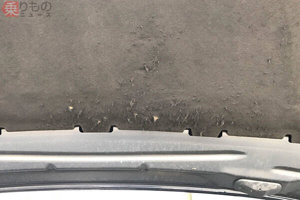 冬に多発「クルマのボンネットにネコ侵入」要注意 なぜネコはエンジンルームを好む？