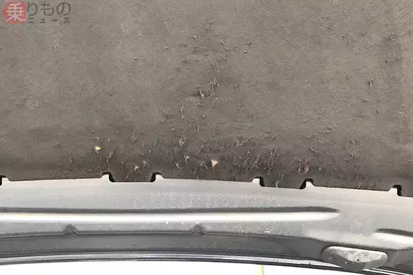 「冬に多発「クルマのボンネットにネコ侵入」要注意 なぜネコはエンジンルームを好む？」の画像