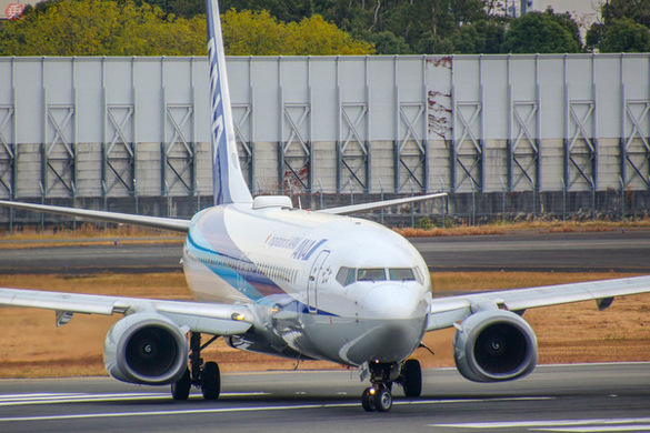 ロングセラー商品 イボコロリ の効果 知ってますか イボ タコ 魚の目の違い 18年1月27日 エキサイトニュース