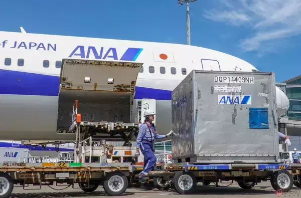 炎天下の空港で働くANA機「地上支援スタッフ」 新型コロナ禍の2020年版健康管理とは