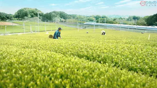 「ビシッと指さす車掌は本物？ 新型新幹線「N700S」テレビCMの秘密」の画像