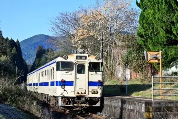 「お客さま」より「シカ・イノシシ」で列車遅延 JR九州の深刻な実態が浮き彫りに 1日1件以上「獣害」