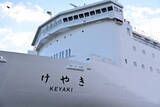 「新日本海フェリー新造船「けやき」ついに公開！ レストラン2つ、露天風呂＆サウナ!? 「海のホテル」でゆく日本海最長1061km」の画像1